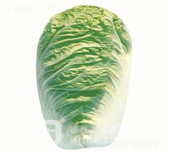 �ļ��͟�ײ�-���01-��ײ˷N��-�¸߷N�I(y��)