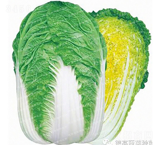 �����ͳ�޷�ײ�-�r(n��ng)��27-��ײ˷N��-�¸߷N�I(y��)