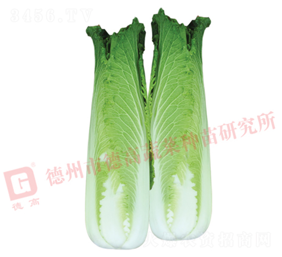 ��ѿ�B��-�B��18-��ײ˷N��-�¸߷N�I(y��)