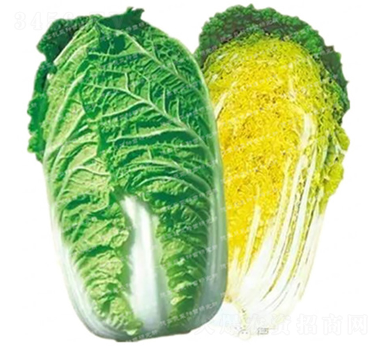 �����[���ײ�-CR69-��ײ˷N��-�¸߷N�I(y��)