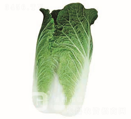 �����[���ײ�-CR117-��ײ˷N��-�¸߷N�I(y��)