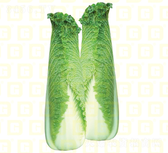 ��ѿ�B��-�¸�����7̖(h��o)-��ײ˷N��-�¸߷N�I(y��)