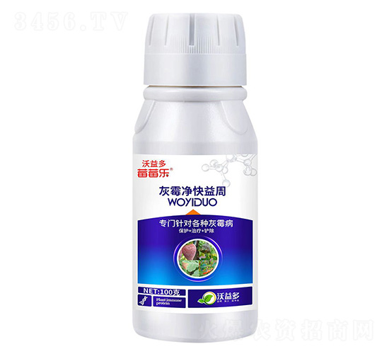 ��ù��������-ݮݮ��(l��)-�����