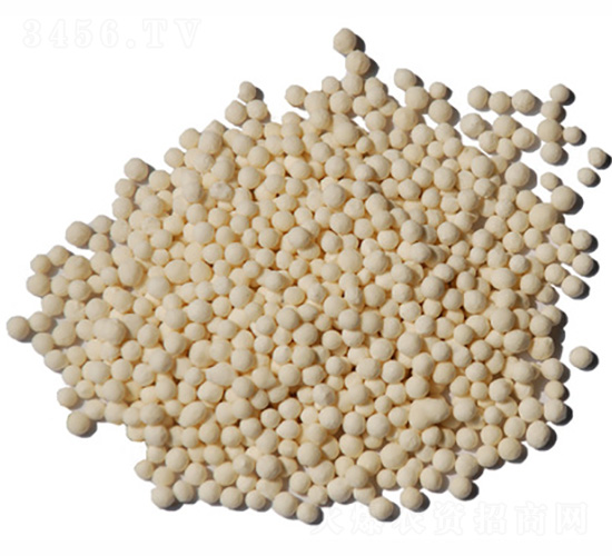 �w���\��-ïʩ����