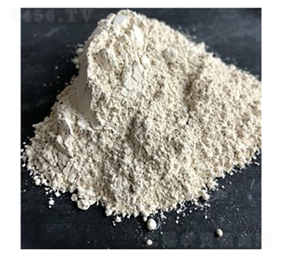 �����V�S��-�Vï�Ƽ�