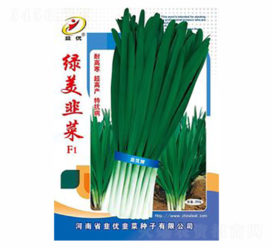 �G���²�F1-��(y��u)�N�I(y��)