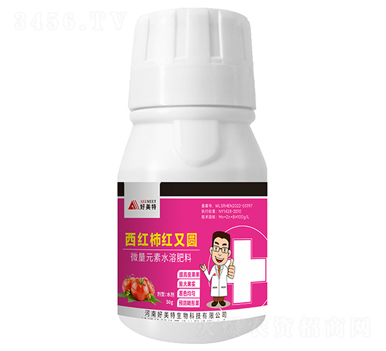 ���t���t�ֈA-������