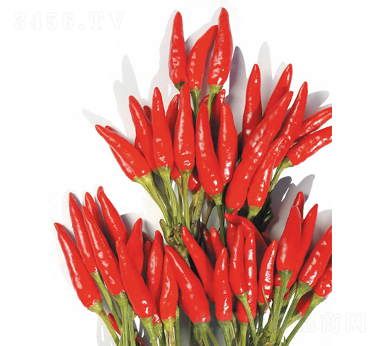 ���1̖(h��o)-���콷�N��-�c�l(f��)��ʢ