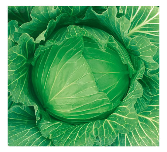 �c��85��-���{(l��n)�N��-�c�l(f��)��ʢ