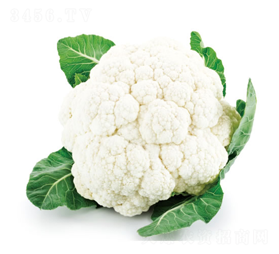 �c��75��-��Ҭ�˷N��-�c�l(f��)��ʢ