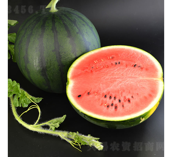 ī��1̖(h��o)-���ϷN��-�c�l(f��)��ʢ