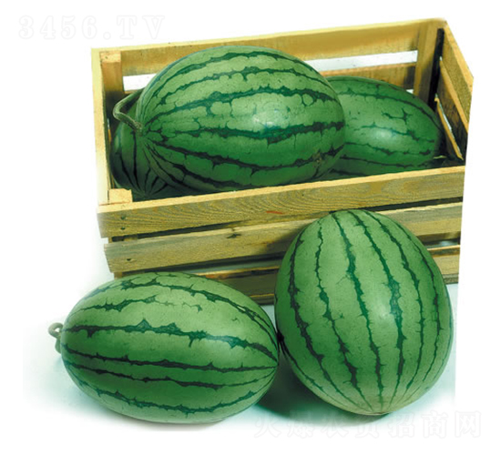 ��ͯľ-���ϷN��-�c�l(f��)��ʢ