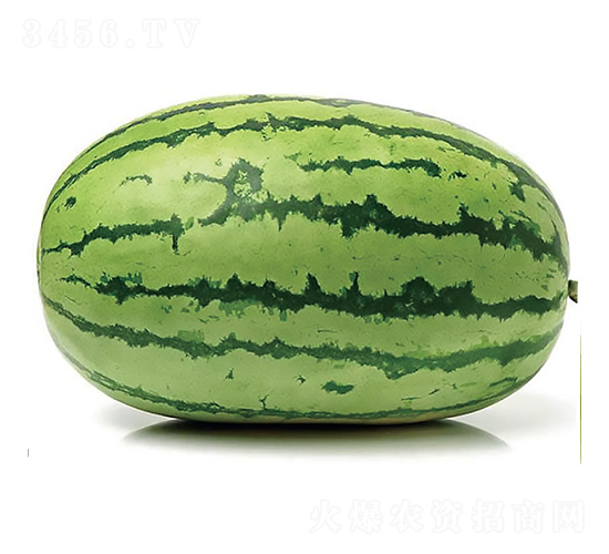 �c��1̖-���ϷN��-�c�l(f��)��ʢ