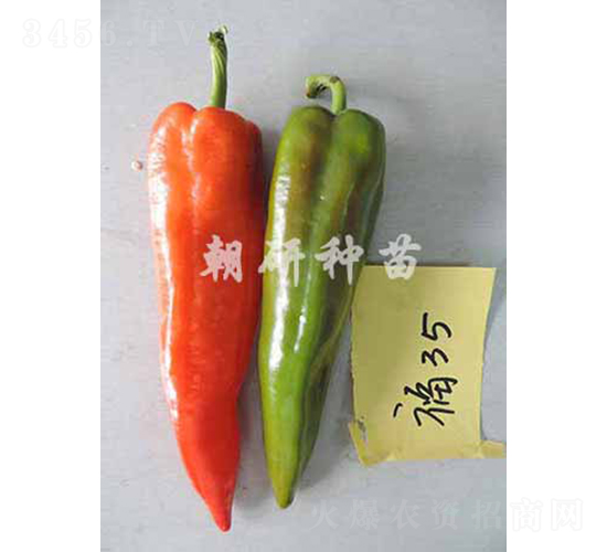 ��35-�����N��-���зN��