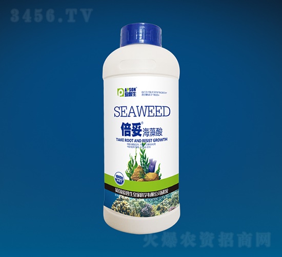 ���ס�������-������