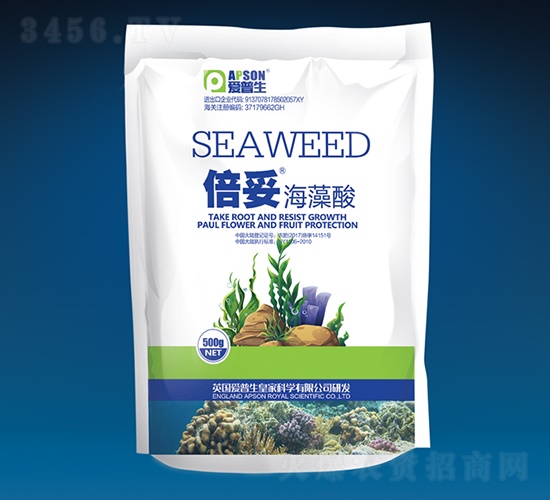 ���ס������ᣨ����-������