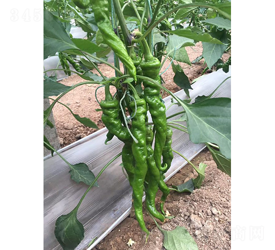 ����179-�����N��-���շN��