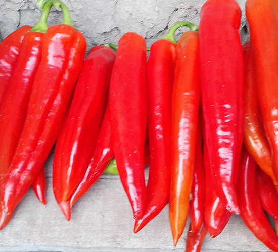 ����ɯ-�����N��-���շN��