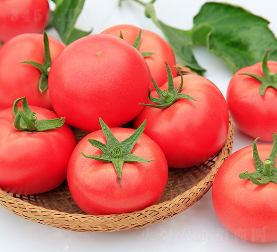 ����911-���ѷN��-���շN��