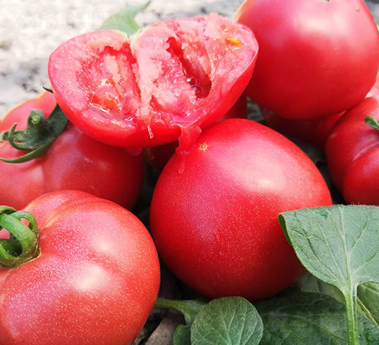 ����1̖(h��o)-���ѷN��-���շN��