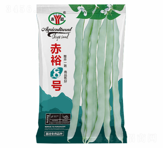 ��ԣ8̖-�Z���_(d��)