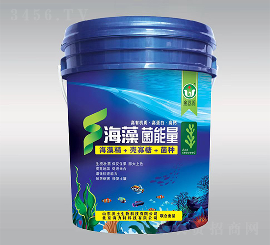 ���������-��ؐ��-����