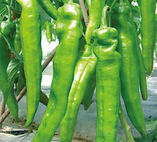 ��(xi��n)��7261-�����N��-����