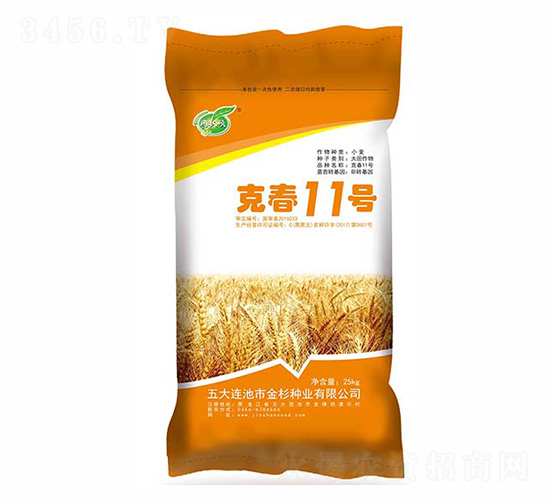 �˴�11̖-��ɼ�N�I(y��)