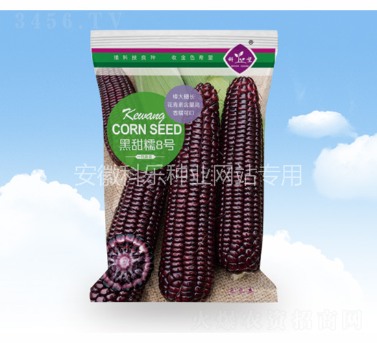 ����Ŵ8̖-�Ƙ��N�I(y��)