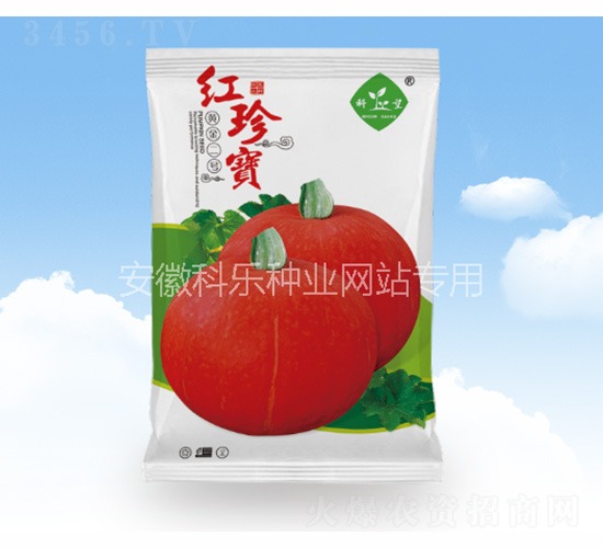 �t�䌚���S���̖��-�Ƙ��N�I(y��)