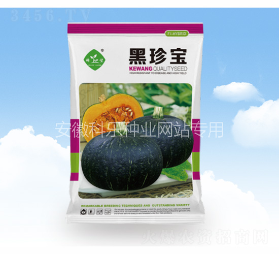 ���䌚-�Ƙ��N�I(y��)