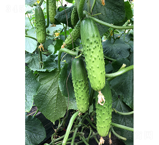 ���r(n��ng)�G��1̖-�S�ϷN��-���r(n��ng)�r(n��ng)�I(y��)