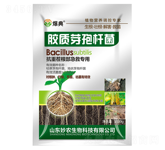 �z�|ѿ�ߗU��-����-���r����