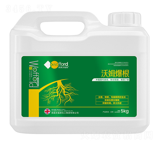 ��ķ����-��ķ��