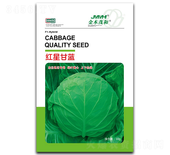 �t�Ǹ��{-���{�N��-��ľï��