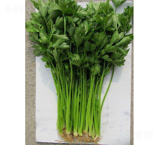 ������һ̖(h��o)-�۲˷N��-�r(n��ng)�ƷN��