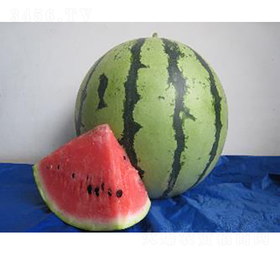 ����948-���ϷN��-�r(n��ng)�ƷN��