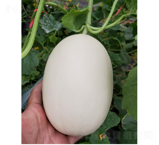 ������4̖-��ϷN��-�r�ƷN��