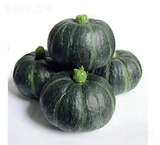 ؐؐ�Gһ̖-��ϷN��-�r(n��ng)�ƷN��