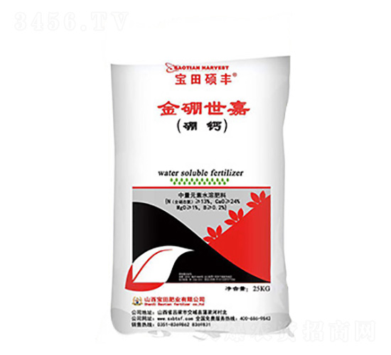 ��������-����T�S-����ʘI(y��)