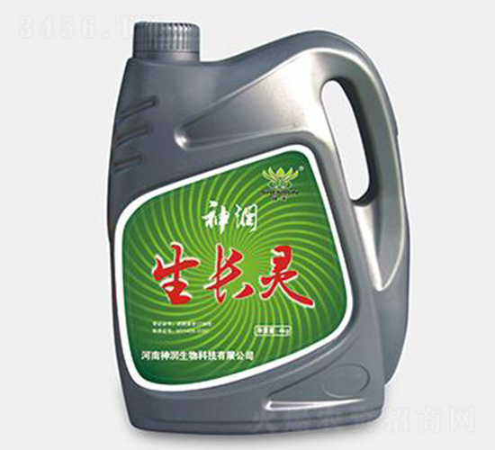 ���L(zh��ng)�`-��(r��n)����