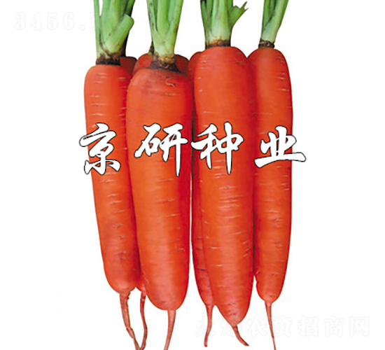 �A�u(y��)238-���}���N��-���зN�I(y��)