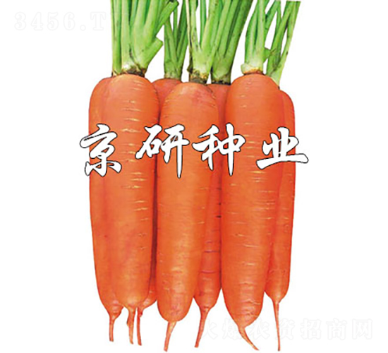 �A�u(y��)258-���}���N��-���зN�I(y��)