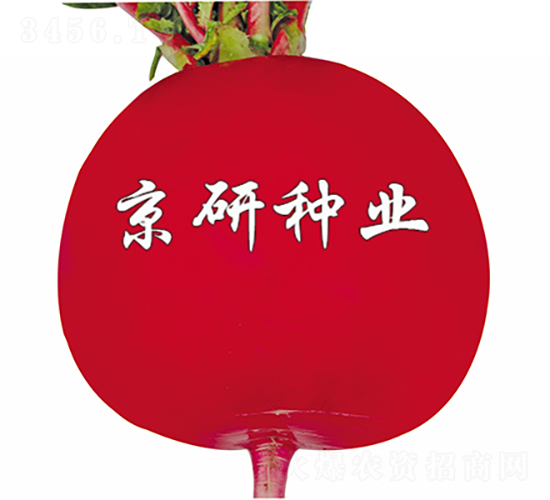 ���t6̖(h��o)-�}���N��-���зN�I(y��)