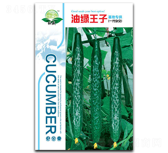 �;G����-�S�ϷN��-��ʢ