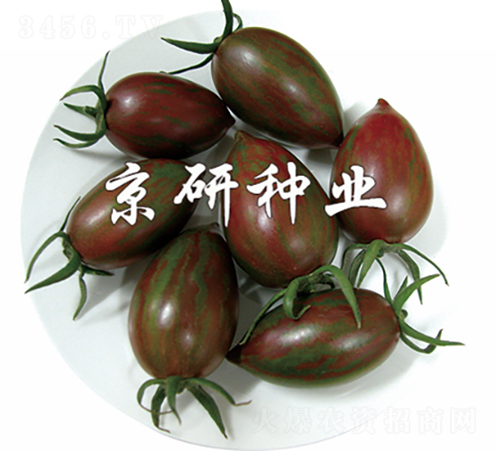 ����3̖-���ѷN��-���зN�I(y��)