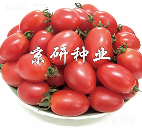 ����2̖(h��o)-���ѷN��-���зN�I(y��)