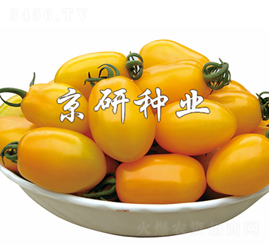 �S�L1̖(h��o)-���ѷN��-���зN�I(y��)