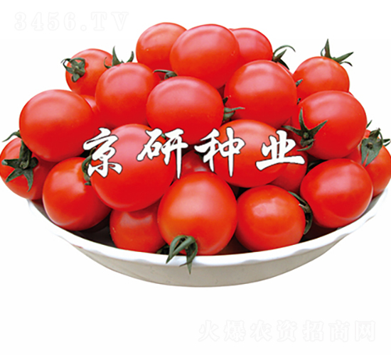 ����8̖(h��o)-���ѷN��-���зN�I(y��)