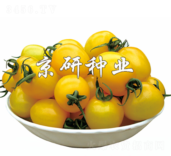 С�S��-���ѷN��-���зN�I(y��)